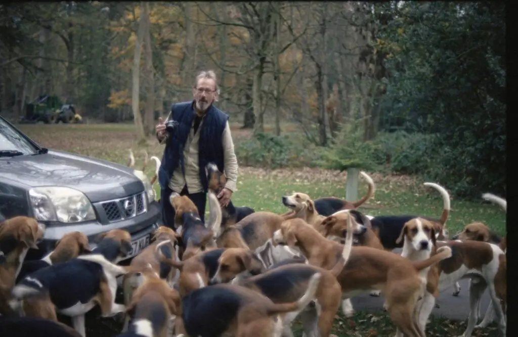 The Video Whisperer caught in a gridlock of hounds on the Belvoir Castle Estate.